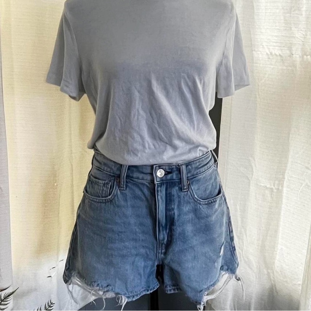 AE Denim Ripped Shorts